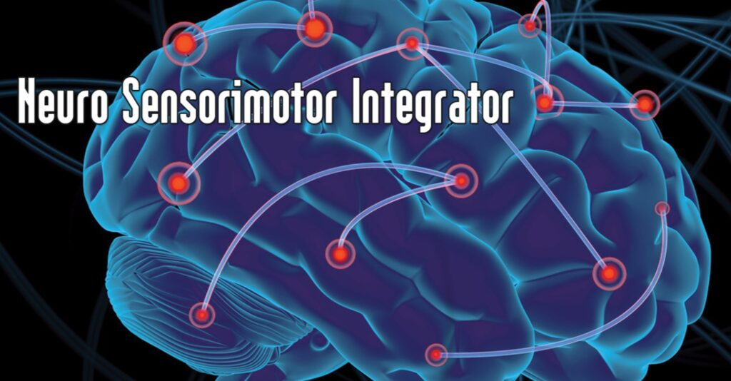Neuro Sensorimotor Integrator